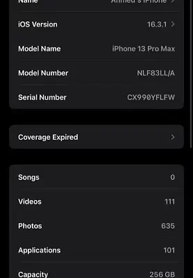 IPhone 13 Pro Max 256 GB Non PTa