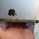 Iphone 13 Pro max 128 Gb Alpine Green